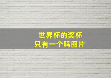 世界杯的奖杯只有一个吗图片