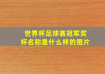 世界杯足球赛冠军奖杯名称是什么样的图片