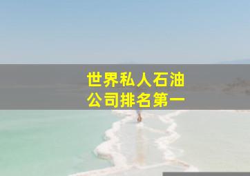 世界私人石油公司排名第一