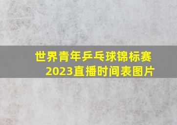 世界青年乒乓球锦标赛2023直播时间表图片