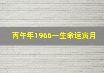 丙午年1966一生命运寅月