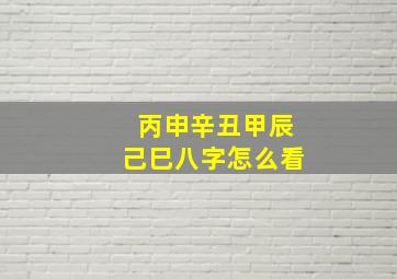 丙申辛丑甲辰己巳八字怎么看