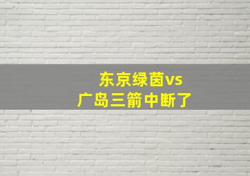 东京绿茵vs广岛三箭中断了