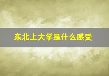 东北上大学是什么感受