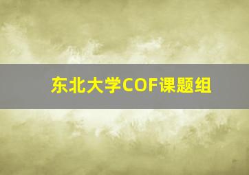 东北大学COF课题组