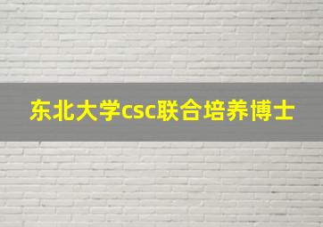 东北大学csc联合培养博士