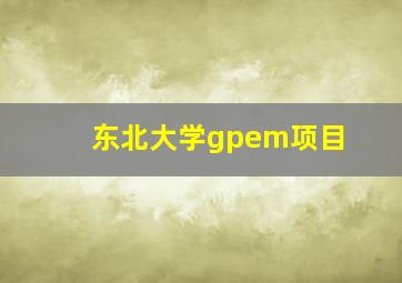 东北大学gpem项目