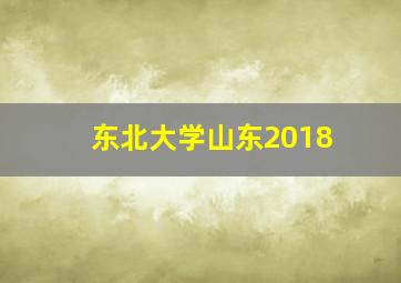 东北大学山东2018