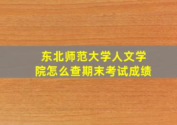 东北师范大学人文学院怎么查期末考试成绩