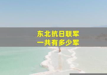 东北抗日联军一共有多少军