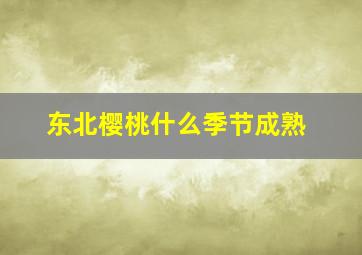 东北樱桃什么季节成熟