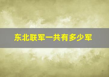 东北联军一共有多少军