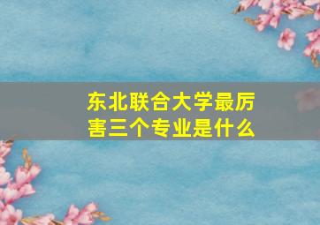 东北联合大学最厉害三个专业是什么