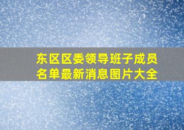 东区区委领导班子成员名单最新消息图片大全