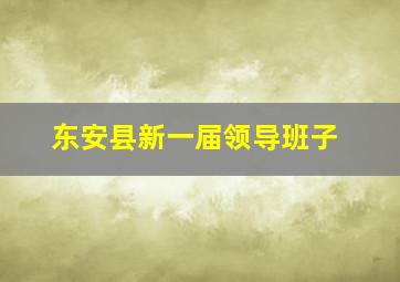 东安县新一届领导班子