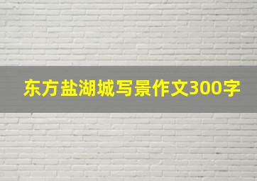 东方盐湖城写景作文300字