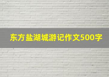 东方盐湖城游记作文500字