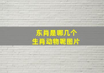 东肖是哪几个生肖动物呢图片