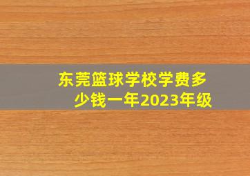 东莞篮球学校学费多少钱一年2023年级