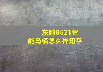 东鹏8621智能马桶怎么样知乎