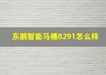 东鹏智能马桶8291怎么样