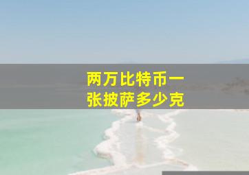 两万比特币一张披萨多少克