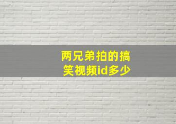 两兄弟拍的搞笑视频id多少