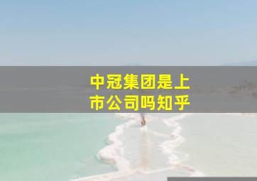 中冠集团是上市公司吗知乎