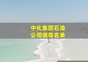 中化集团石油公司领导名单