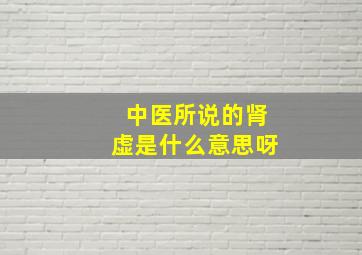 中医所说的肾虚是什么意思呀