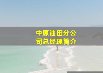 中原油田分公司总经理简介