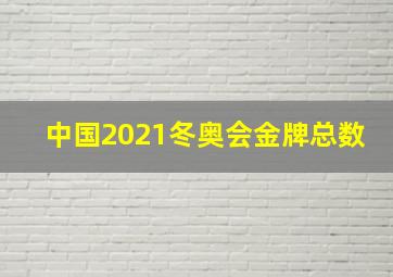 中国2021冬奥会金牌总数