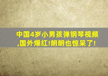 中国4岁小男孩弹钢琴视频,国外爆红!朗朗也惊呆了!