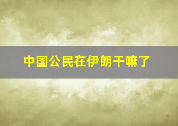 中国公民在伊朗干嘛了