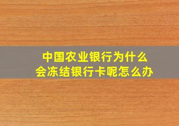 中国农业银行为什么会冻结银行卡呢怎么办