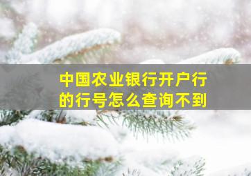 中国农业银行开户行的行号怎么查询不到