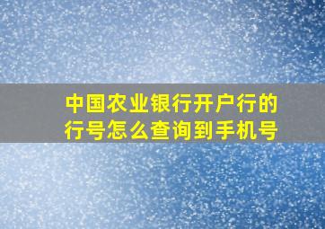 中国农业银行开户行的行号怎么查询到手机号