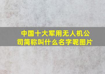 中国十大军用无人机公司简称叫什么名字呢图片