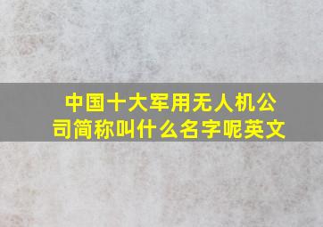 中国十大军用无人机公司简称叫什么名字呢英文