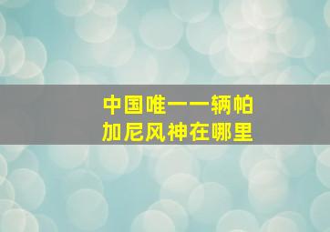 中国唯一一辆帕加尼风神在哪里