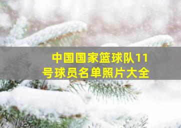 中国国家篮球队11号球员名单照片大全