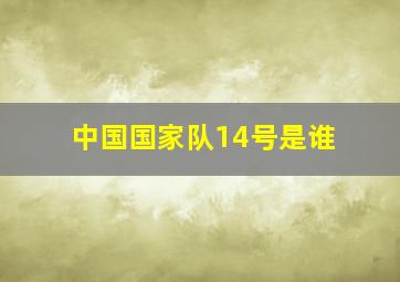 中国国家队14号是谁