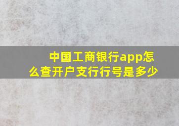 中国工商银行app怎么查开户支行行号是多少