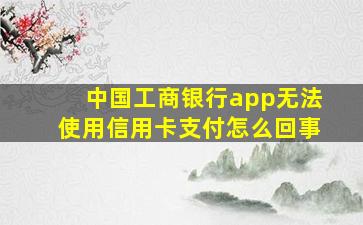 中国工商银行app无法使用信用卡支付怎么回事