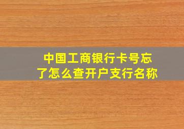 中国工商银行卡号忘了怎么查开户支行名称