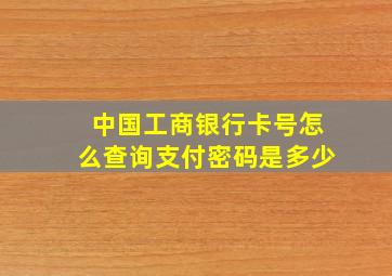 中国工商银行卡号怎么查询支付密码是多少