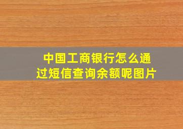 中国工商银行怎么通过短信查询余额呢图片