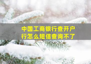 中国工商银行查开户行怎么短信查询不了