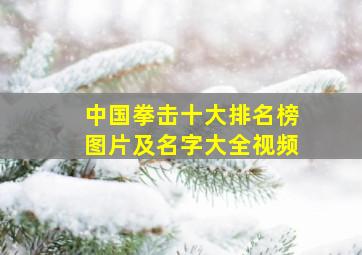 中国拳击十大排名榜图片及名字大全视频