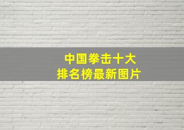 中国拳击十大排名榜最新图片